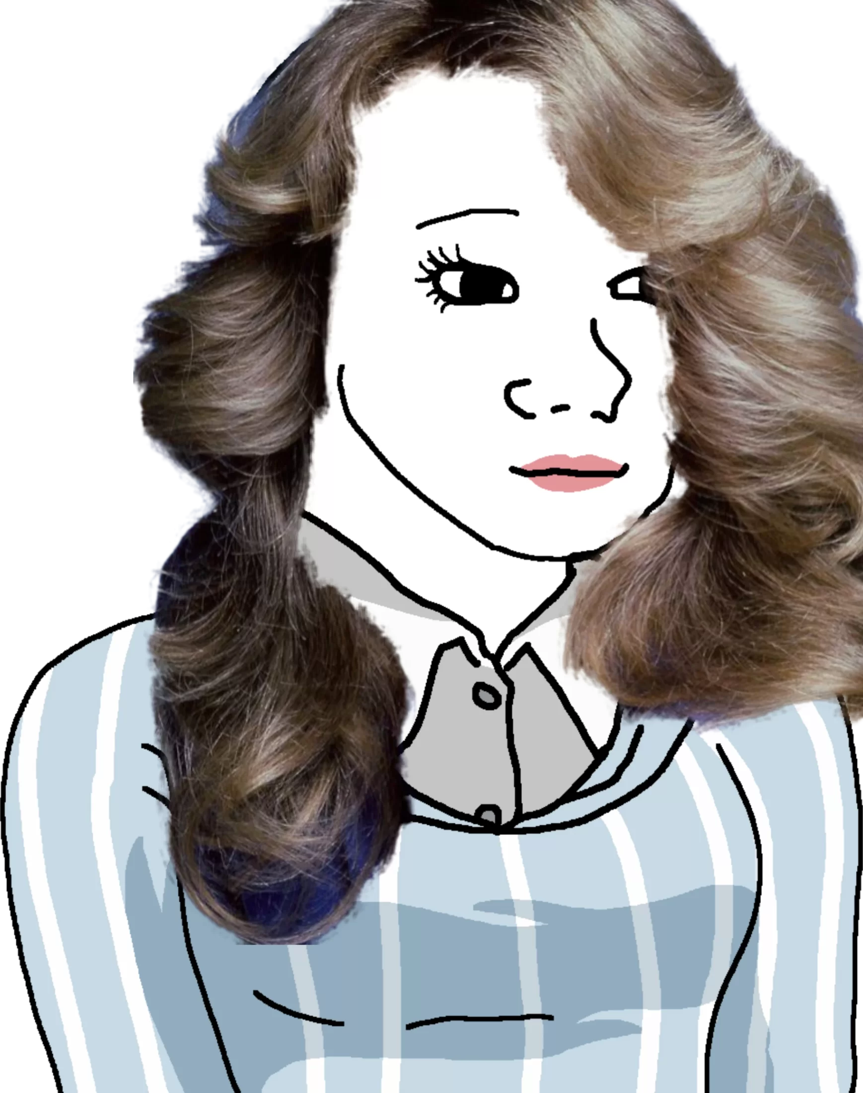 70s female tradwife wojak